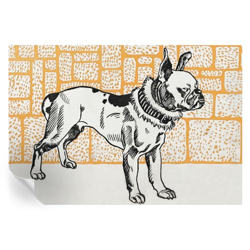 Cubiertas de vinilo premium de 152x104 cm con estampados resistentes de diseño 2