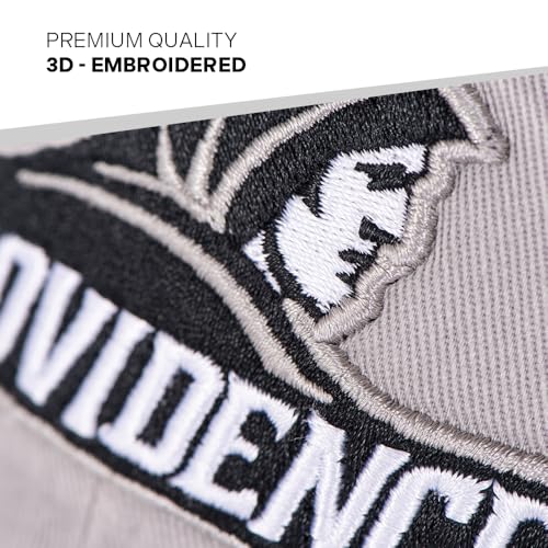 Desert Cactus Providence College Gorra Ajustable Adulto miniatura 3
