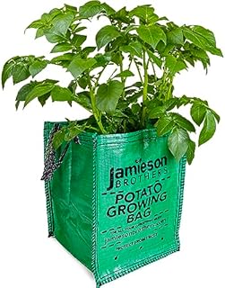 JBA Seed Potatoes 10 x Potato Planter Bags suitable for growing all Vegetables all year round 18"x12"x12" Has Drainage Holes and Carry Handles- By Jamieson Brothers