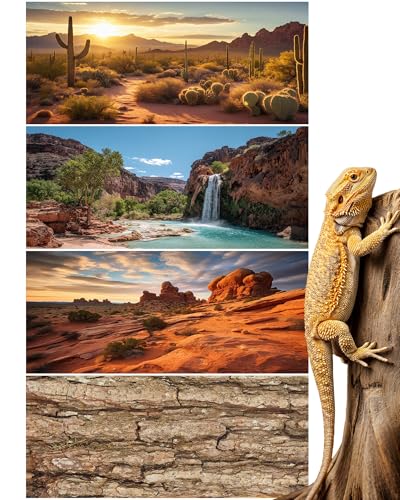 Breling 4 Pcs 36 x 18 Reptile Tank Background 30/40/50 Gallon Bearded Dragon Terrarium Background Decor Polyester Reptile Tank Accessories for Leopard Gecko Crested Gecko Tortoises