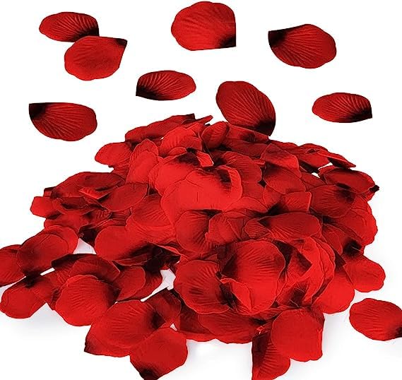 GoolskyRed Silk Flower Romantic Artificial Rose Petals for Wedding Aisle, Party Favor & Table, Vase, Home Decoration, 1000 PCS