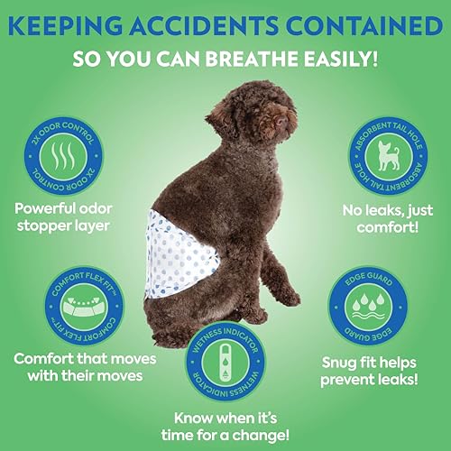 Out! 70798P-12PONL Petcare Disposable Male Dog Wraps, Safe, Male Wraps For Dogs, Pee Wraps Belly Bands For Male Dogs, Leak Proof, Wetness Indicator, Puppy And Doggie Diaper thumb #3
