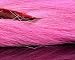Large Northern BuckTail - light pink