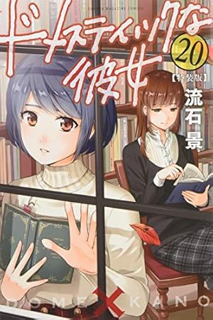 ドメスティックな彼女(28)特装版 (プレミアムKC) | 流石 景 |本