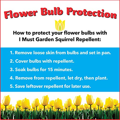 Imustgarden 0181998000347 I Must Garden Squirrel Repellent: Protects Vehicles thumb #4