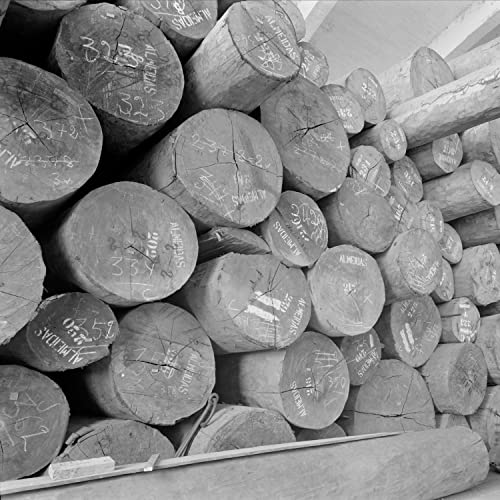 Best Microphone For Recording Violin Expert Review The Modern Record