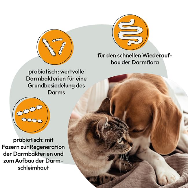 GRAU - das Original - Intestinal Plus Tabletten, für den Wiederaufbau der Darmflora, mit wichtigen Probiotikas und Darmbakterien, 1er Pack (1 x 60 Stück), Ergänzungsfuttermittel für Hunde & Katzen