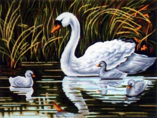 Generico Mezzopunto Mezzo Punto Stampato a Colori Completo di matassine Laghetto con cigni 30 x 40 Disegno ricamabile