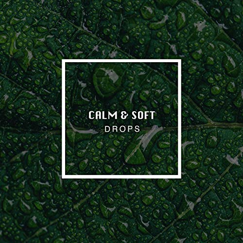 1 Album Calm & Soft Drops White Noises Music Therapy