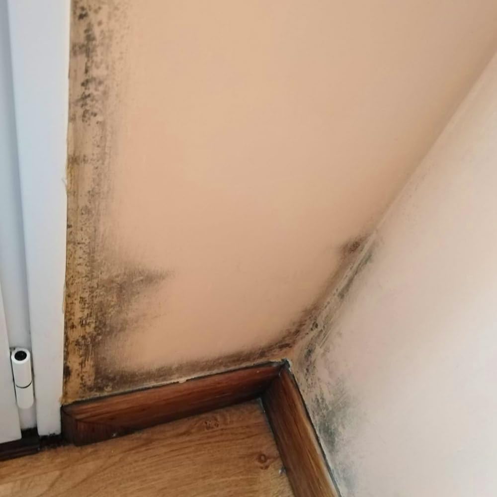 Detergente Limpiador Antihumedades 5L Sin Cloro y Sin Disolventes | Elimina las manchas de humedad sin aclarado. Ideal para paredes interiores y techos de baños, habitaciones. Sin olores.