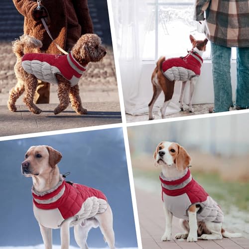 Hundejacke Winter, Hundepullover Mittelgroße Hunde Winterjacke Hund Wasserdicht Hundepullover Hundejacke Fleece Hundebekleidung Winter(Rot, M)