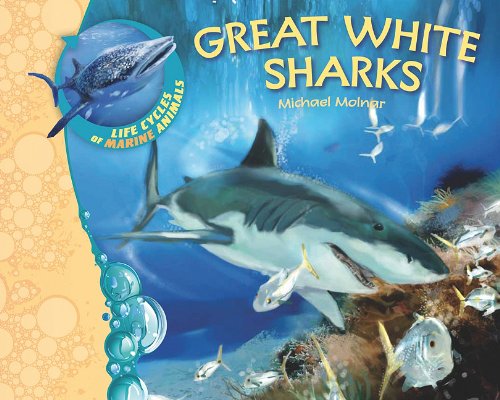 Great White Sharks (Life Cycles of Marine Animals): Molnar, Michael ...