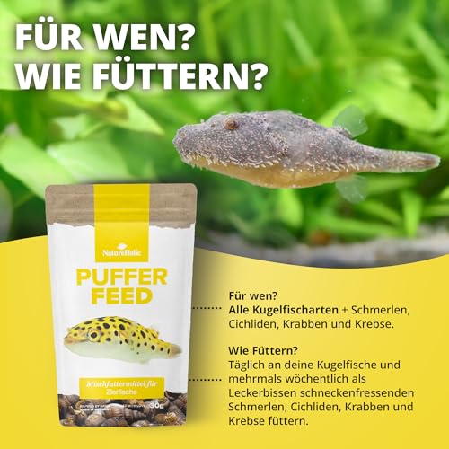 NatureHolic PufferFeed Futterschnecken | Fischfutter Aquarium | hochwertiges Alleinfuttermittel für Kugelfische | natürliche & gefriergetrocknete Meeresschnecken | Reich an Proteinen | 30 g