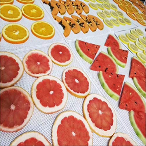 6 PCS Square Silicone Dehydrator Sheets Non-stick Fruit Dehydrator Mats, Reusable Steamer Mat Mesh Sheet for Fruit Dryer