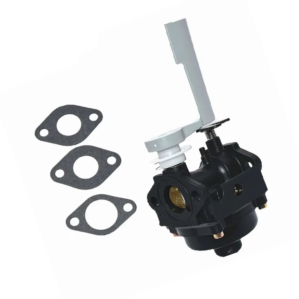 Carburateur pour tondeuse à 2 temps 107-4607 d'entretien