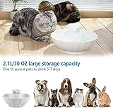 iPettie Tritone Ceramic Cat Water Fountain, Heavy-Duty Waterer for Pets, 2.1 Liters / 2.2 Quart Filtered Water Purifier with Replacement Filters and Foam, White