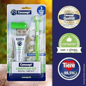 Dog Dental Care Kit 3 Pieces  Dog Toothbrush and Toothpaste  Dog Toothbrush Finger  Dog Teeth Cleaning Products  Plaque Remover for Dogs Teeth  Dog Breath Freshener  Cucciolini Doodles Dog dental care kit 3 pieces  dog toothbrush and toothpaste  dog toothbrush finger  dog teeth cleaning products  plaque remover for dogs teeth  dog breath freshener   cucciolini doodles