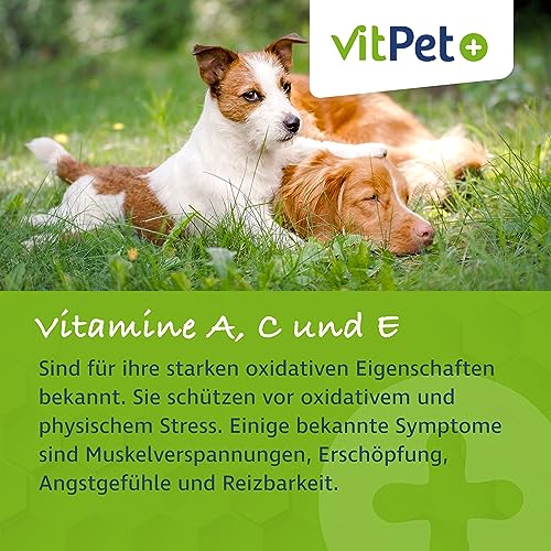 VitPet+ RelaxVit – Beruhigungsmittel für Hunde – Mit Magnesium, Tryptophan und Vitamin B Komplex für Hunde – Unterstützt Entspannung, Muskulatur und Nervensystem – Gegen Stress und Angst (400 g)