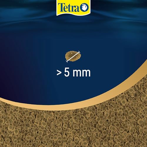 Tetra Pro Algae Multi-Crisps evita la desnutrición de los peces con valor óptimo 4
