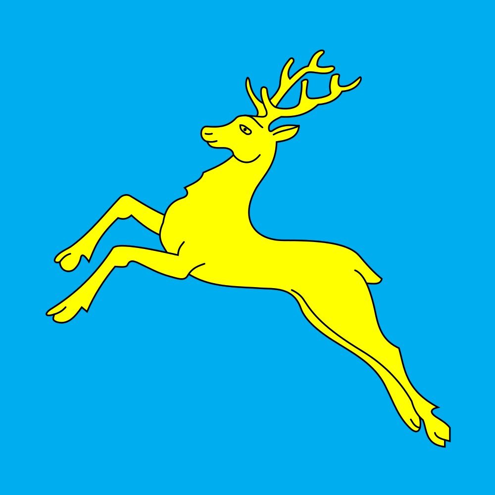 Drapeau de Sambir Ukraine grand format pour célébrations et décorations murales