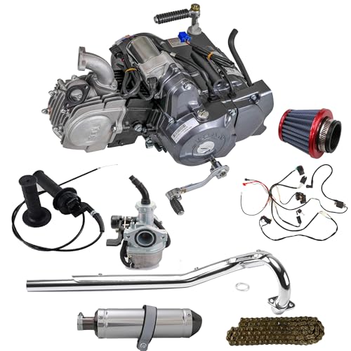 Lifan 300cc Engine