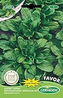 Germisem Feldsalat FAVOR, mehrfarbig, EC6032