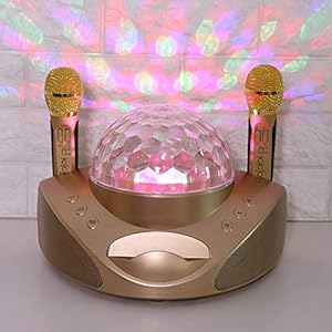 2 microfoons Karaoke Luidspreker Luidspreker, Zingen(gold, Transl)