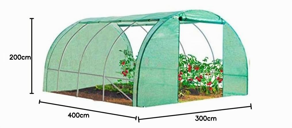 IDMarket - Serra da giardino a tunnel da 12 m², 4 x 3 x 2 m, in acciaio zincato + telo anti-UV con porta e finestre ZEBRA verde, per tutte