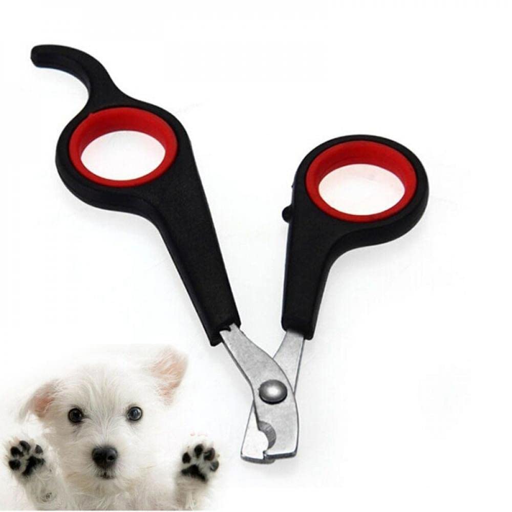 MARGOUN Pet Dog Grooming Scissors Sharp Nail Clipper Small Dog Scissors Claw Cutter Trimmer Bird Gerbil Rabbit Ferret