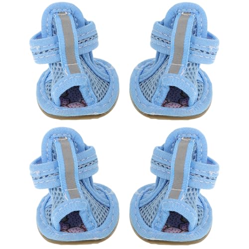 Dog Sneakers The 15 best products compared Wild Explained