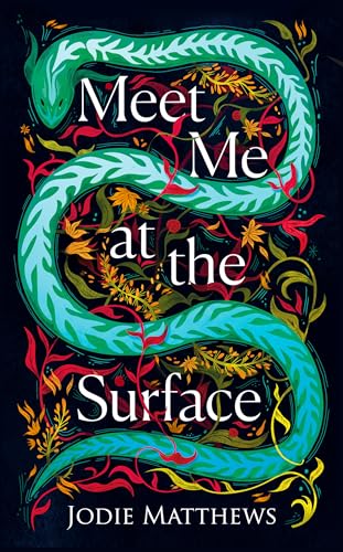 Meet Me at the Surface: A haunting literary debut novel
