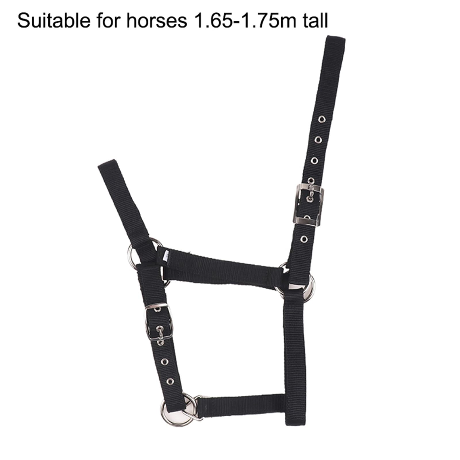 Cavezza Per Cavallo XS SL XL Fettuccia in nylon regolabile Cavezza for cavallo equestre Abbigliamento da equitazione ergonomico e confortevole(XL)