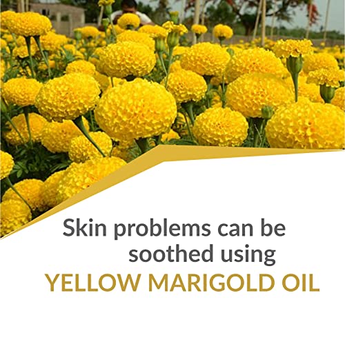 Image of B-Urban Yellow Marigold Oil 30 ml (1.01 fl oz) - Cold Pressed Tagetes Carrier Oil for Skin Care Formulations, Soothing Blends & DIY Cosmetic Preparations