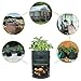 YOQXHY Potato Grow Bags,(5 Pack 10 Gallon) Garden Vegetables Growing Planter with Handles and Access Flap for Planting Potato Carrot Onion Taro Radish Peanut,Green