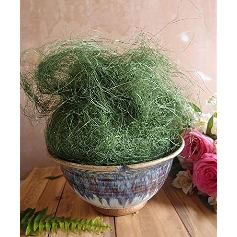 Poshnpretty Sisal Fiber Filler 125G/PACK Choose Natural or Moss (Moss) Cover