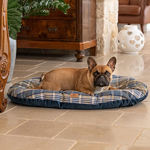 Ferplast Hundebett Hundekissen Katzenkissen Hundesofa für mittelgroße Hunde, 85 x 55 x 15 cm Waschbar, Blau