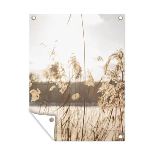 MuchoWow Poster exterieur Eau - Herbe de la pampa - Plantes Decoration murale 90x120 cm Résistant aux intempéries/soleil