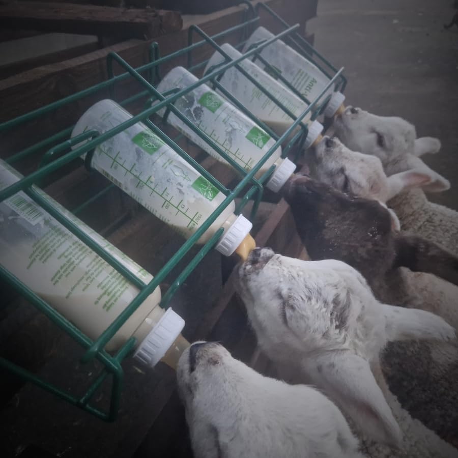 Lamm Flaschenhalter Futterständer mit 5 x 450 ml Nicht-Vac Flaschen & Sauger, Multi-Lamb Feeder Füttert problemlos bis zu 5 Lämmer, Befestigung an Zäunen, Hürden und Wänden (5 x Nicht-Vac Flaschen