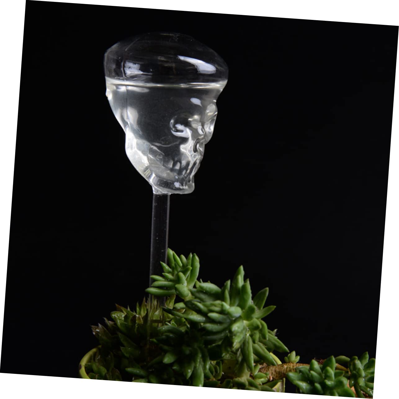 Abaodam 3 Pièces arrosage Automatique en Verre jardinières à arrosage Automatique Usine soi - Jardinière crâne - Décoration Plantes dispositifs d'arrosage des Plantes s'arroser