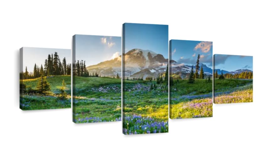 Affiche Mount Rainier en 5 parties tableau decoration murale salon 150x80cm