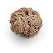 Luchea's Psychic World Herbs-Rose of Jericho-Whole