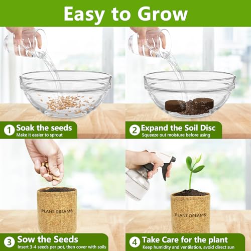 Bonsai Tree Kit, Bonsai Starter Kit with Seeds & Tools, Tree Live Plants Indoor, Gardening Gifts for Women Men Mom Father Plant Lover, Birthday Gifts for Women, Father Day Gifts - Image 4