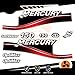 Generico Mercury Kit d'autocollants pour moteur Moteur Marino Fuoribord 150 CV – Version Optimax Rouge
