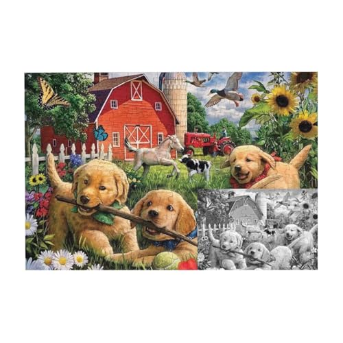 VԌ 300s[X WO\[pY l jЂȂ J`ƃn} a  CeA MtgnEX i38×26cmj