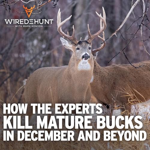 Ep. 981: How the Experts Kill Mature Bucks in December and Beyond