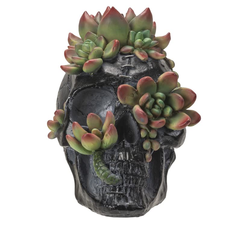 Tête de mort en résine noire supérieure et succulentes Pacific Giftware 20cm