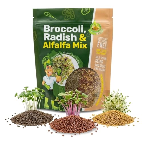 Todds Seeds Broccoli Radish Alfalfa Sprouting Mix 1/4 lb Non-GMO