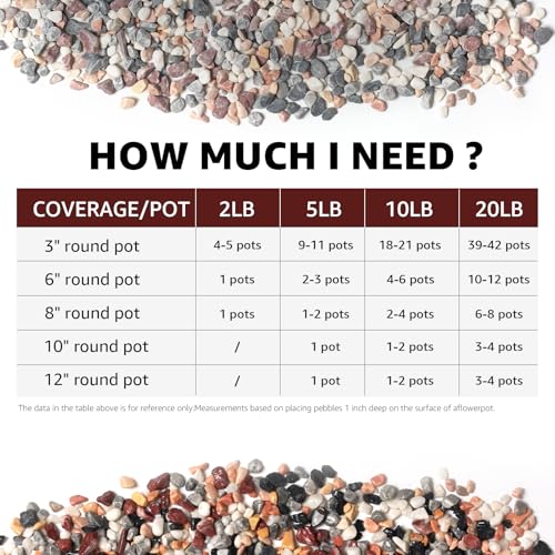 Image of 2lbs Natural Gravel Pebbles for Succulents and Cacti, 1 /5 Inch Decorative River Stones - Perfect for Vases, Aquariums, Terrariums, and Outdoor Gardening, Mixed Colors (Mixed, 2 Pounds)