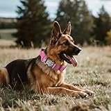 Taktisches Halsband Hund mit Griff, Hundehalsband Breit Gepolstert mit Metallschnalle, Verstellbar Nylon Dog Collar für Mittlere Große Hunde (Rot, L)