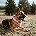 Taktisches Halsband Hund mit Griff, Hundehalsband Breit Gepolstert mit Metallschnalle, Verstellbar Nylon Dog Collar für Mittlere Große Hunde (Rot, L)